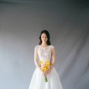 스튜디오브라이트 이미지