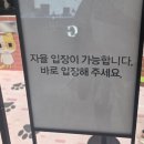 홍대 AK플라자 묘냥이와 멍구 팝업스토어 후기｜굿즈·이벤트·구매 후기