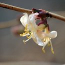 함지노인복지관 이미지