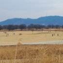 고아파크골프장 이미지