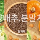 씬플러스 이미지