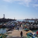 킹콩낚시 이미지