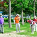 파크골프 이미지