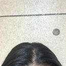 토닉 이미지