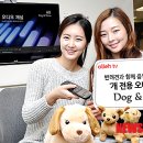 맘앤도그 이미지