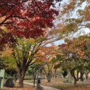 신안평거녹지 이미지