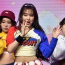 포토조아 이미지