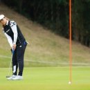 카노(KANO) 이미지