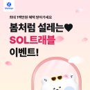 쏠트래블 이미지