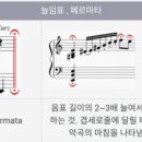 페르마타3 이미지