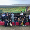 강화애견훈련학교 이미지