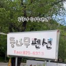 등나무펜션