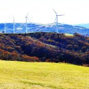 현동목장 이미지