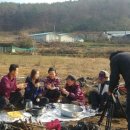 대영원영농조합법인 이미지