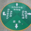돌고래시장상인회 - 7817 | 돌고래시장상인회