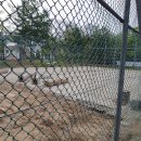 #청라족구단 홈구장 공사 관계로 임시 구장 사용# 이미지