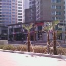 해운대IPARK공인중개사사무소 이미지