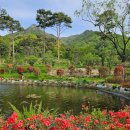 대일내장산컨트리클럽 | 전라도골프여행 내장산CC 골프텔 1박2일골프패키지