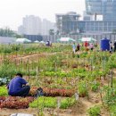 금천농장 이미지