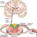 마디척의원 이미지