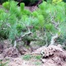 삼화농장2 이미지