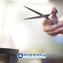 백프로(100%)헤어 이미지