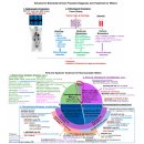 (주)제이엘케이 | insight 로 깔아주고 scope로 up! 루닛
