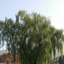 구성도서관 이미지