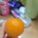 광주동신여자고등학교 | 교육봉사(보다 학교 급식) 후기!