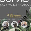 테이블에이 이미지