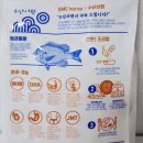 틸라피아 영양성분 맛 다 완벽한 저속노화식단 단백질, 냉동 개별포장 필렛