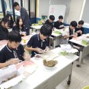 사파중학교 이미지
