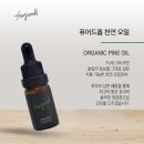 솔내음솔솔 이미지