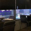 옵센(OFF SNS) 네이버블로그