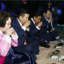 달빛향 이미지