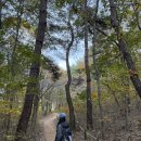 불광 둘레길 관광안내소 | 포항가볼만한곳 오어사 둘레길 가을 단풍명소 인생사진 1000장 건지는 코스 후기