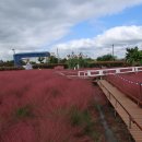 바람새마을 이미지