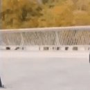 기발한 도난 방지 특이한 장치 이미지