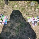 송현낚시터 이미지