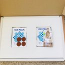 싸다구펫 이미지