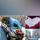 뉴경성렌트카 이미지