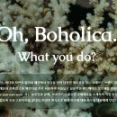 보호리카 이미지