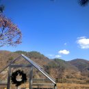 테라스의 아침 이미지