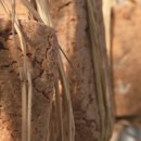 선재식품 이미지