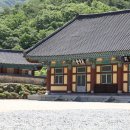 밀양 펜션 추천, 자연 속 힐링을 즐긴 포레스트펜션 후기