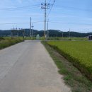 파포2리 이미지