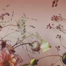서현플라워 - 경주시 유림로 60 | 서현플라워