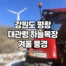 소망목장 | 강원도 평창 가볼만한곳 추천지 대관령 하늘목장 양떼목장 안가고 왔어요!