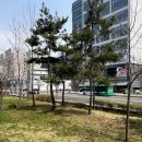 홍고집부대찌개 이미지