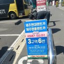 현대카 | 제주도 렌트카 가격비교 모닝 내돈내산 제주현대렌트카 후기| 셔틀버스 타는 곳